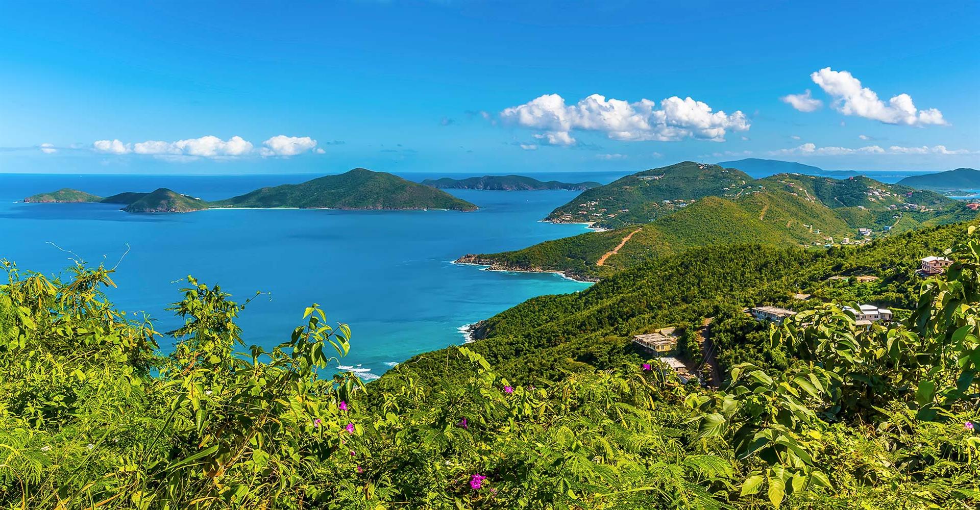 Join Us on Our Annual Holiday Caribbean Bridge Cruise image