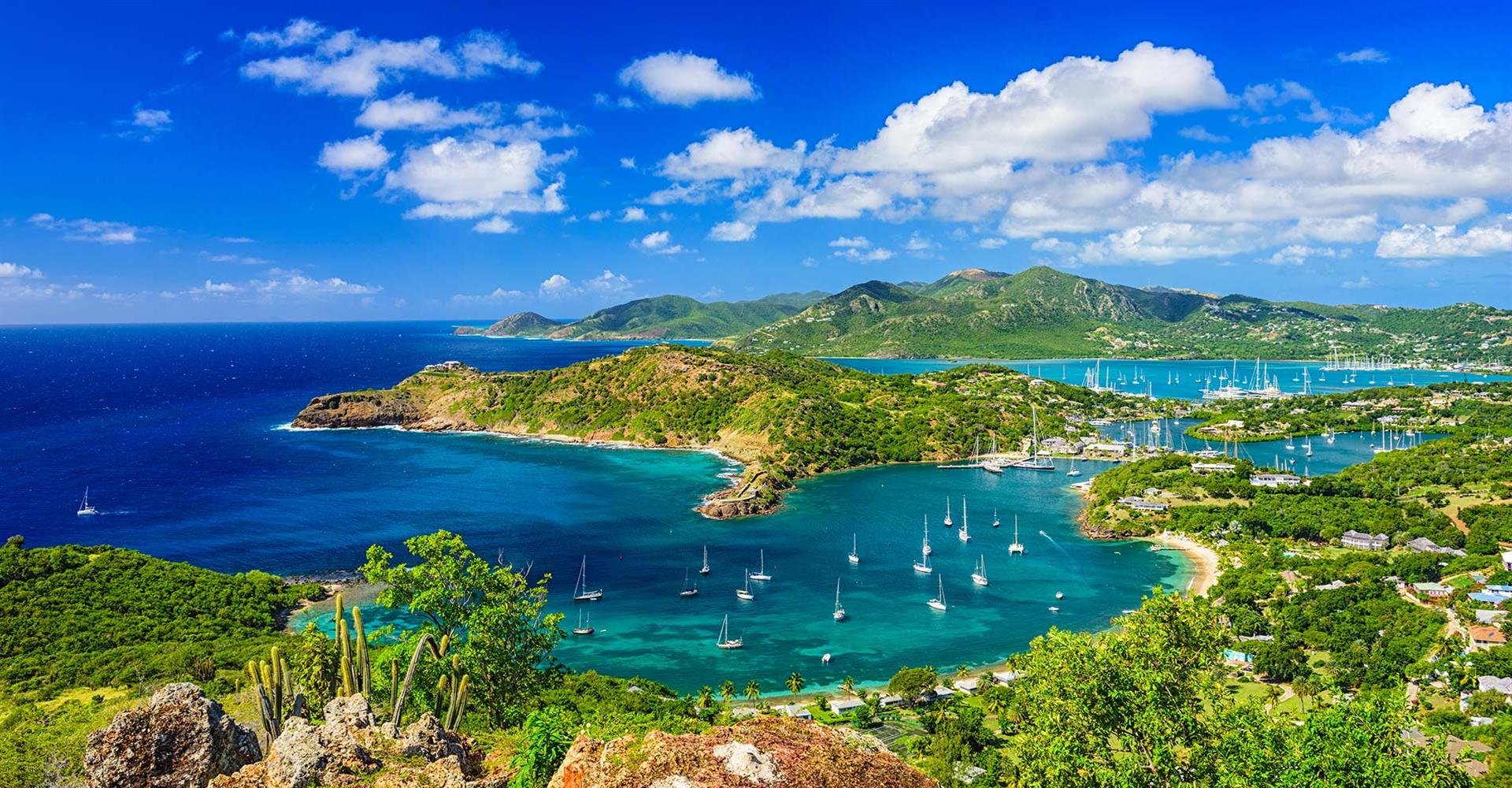 Play More Bridge. Sail in Luxury with Larry Cohen. image